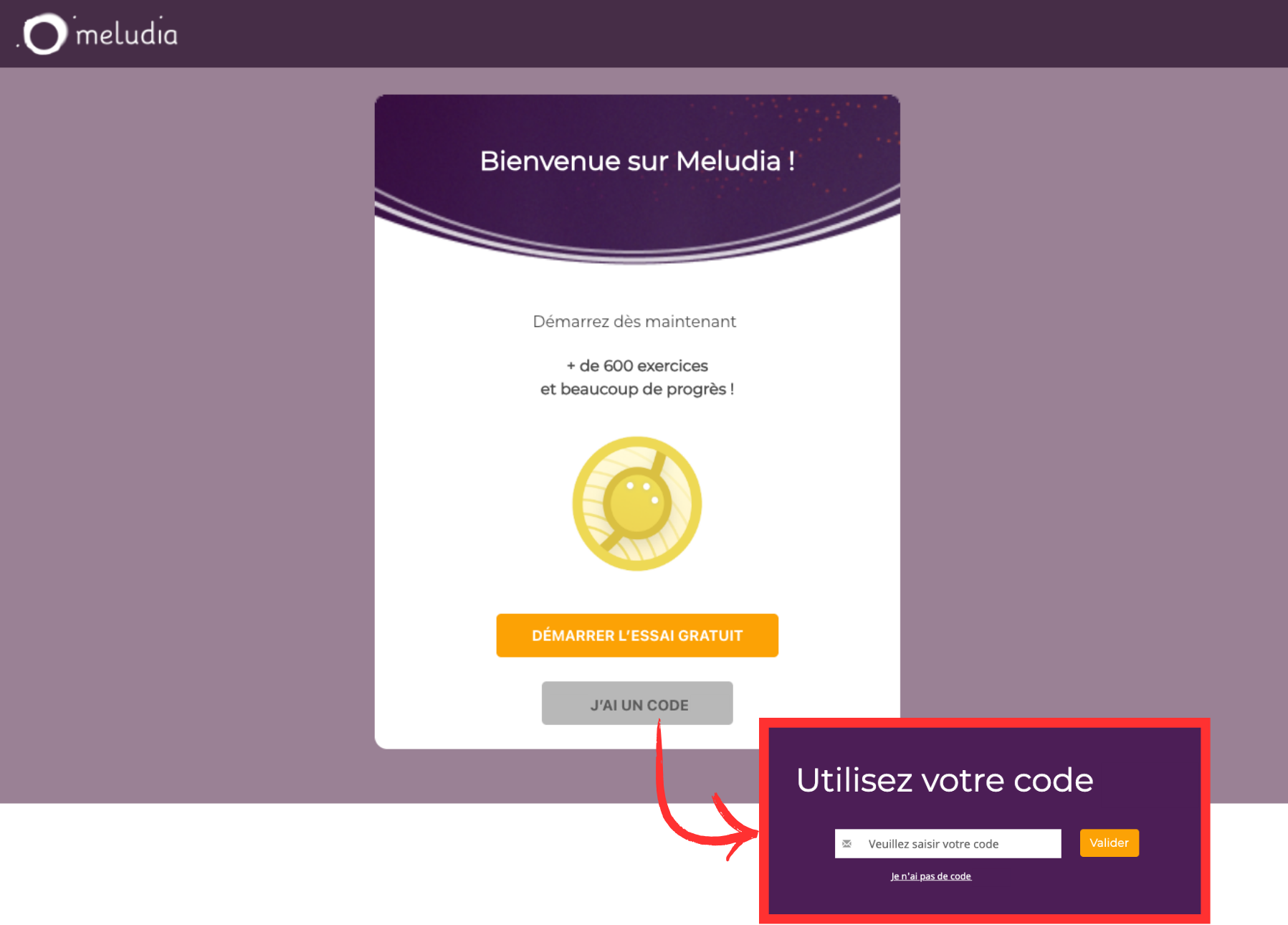 Activation du code Meludia sur meludia.com