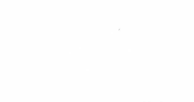 Ovation Guitar Company