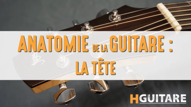 Anatomie de la guitare