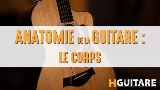 Anatomie de la guitare : partie 3