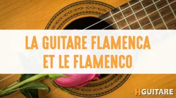 La guitare flamenca et le style flamenco