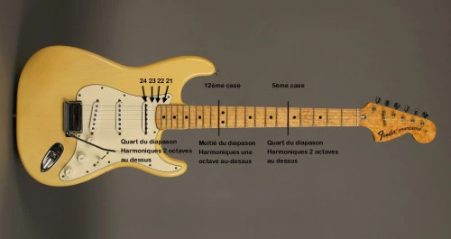 Position virtuelle de la 24ème frette sur une Fender Stratocaster