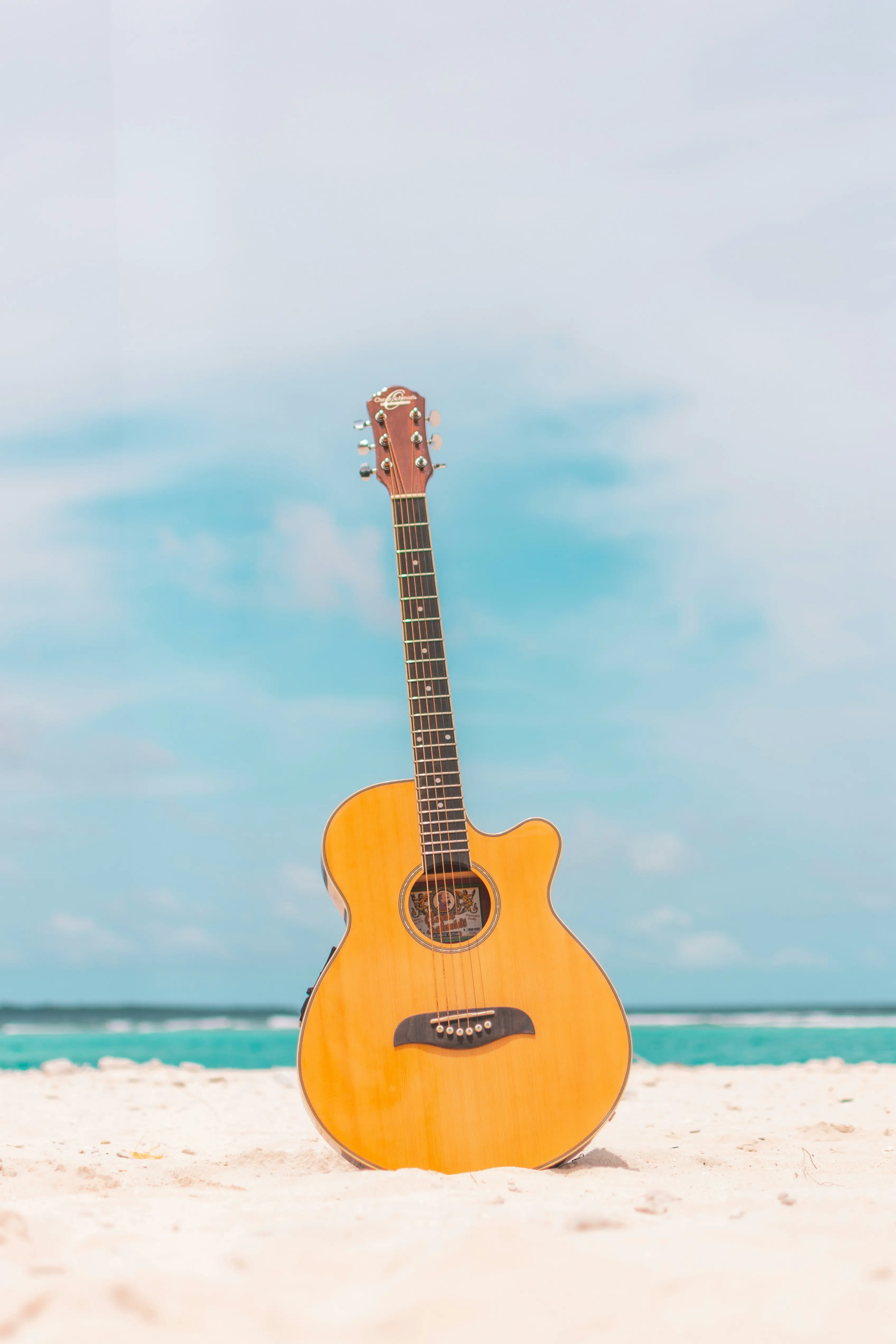 la guitare électro-acoustique