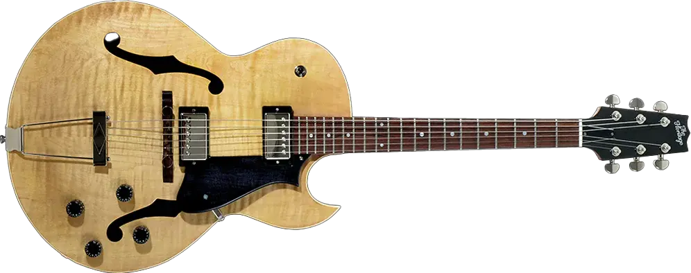 la guitare jazz heritage h-575