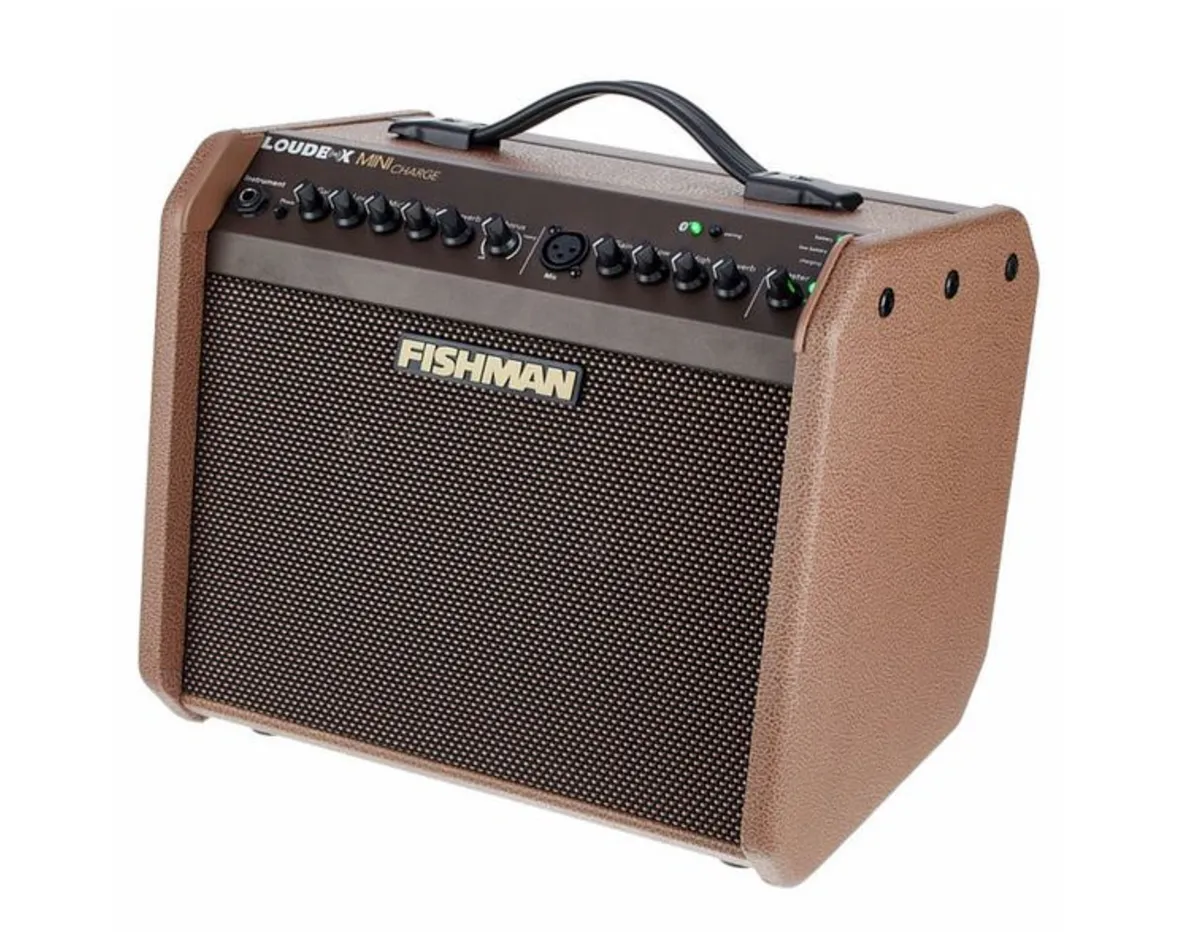 l’ampli pour guitare fishman loudbox mini charge