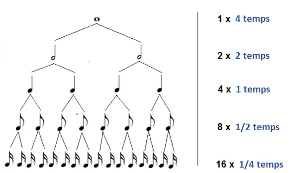 les équivalences en valeurs absolues des différentes figures rythmiques