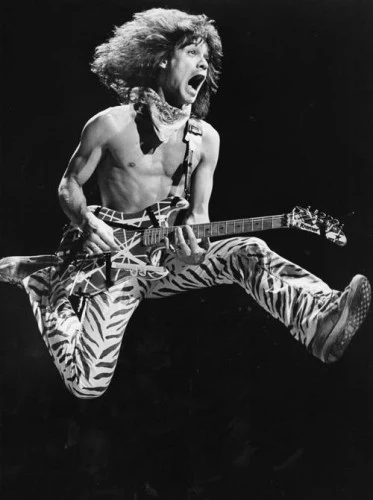Tenir sa guitare : hommage à Van Halen