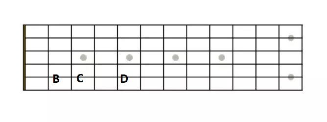 le manche de la guitare sur ses cinq premières cases