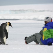 Photo de profil : marmotteantarctica