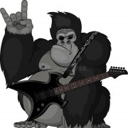 Photo de profil : Monkey