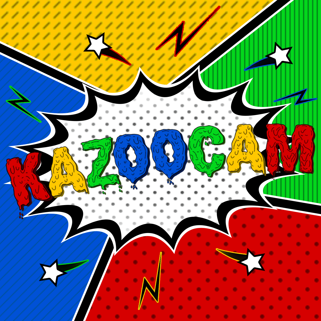 Image Profile Kazoocam